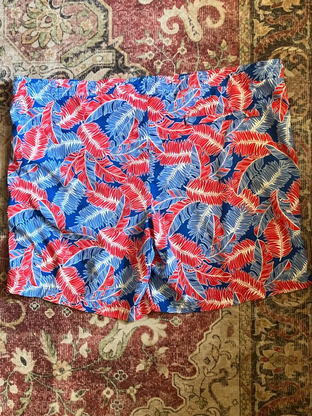 Swim Trunks